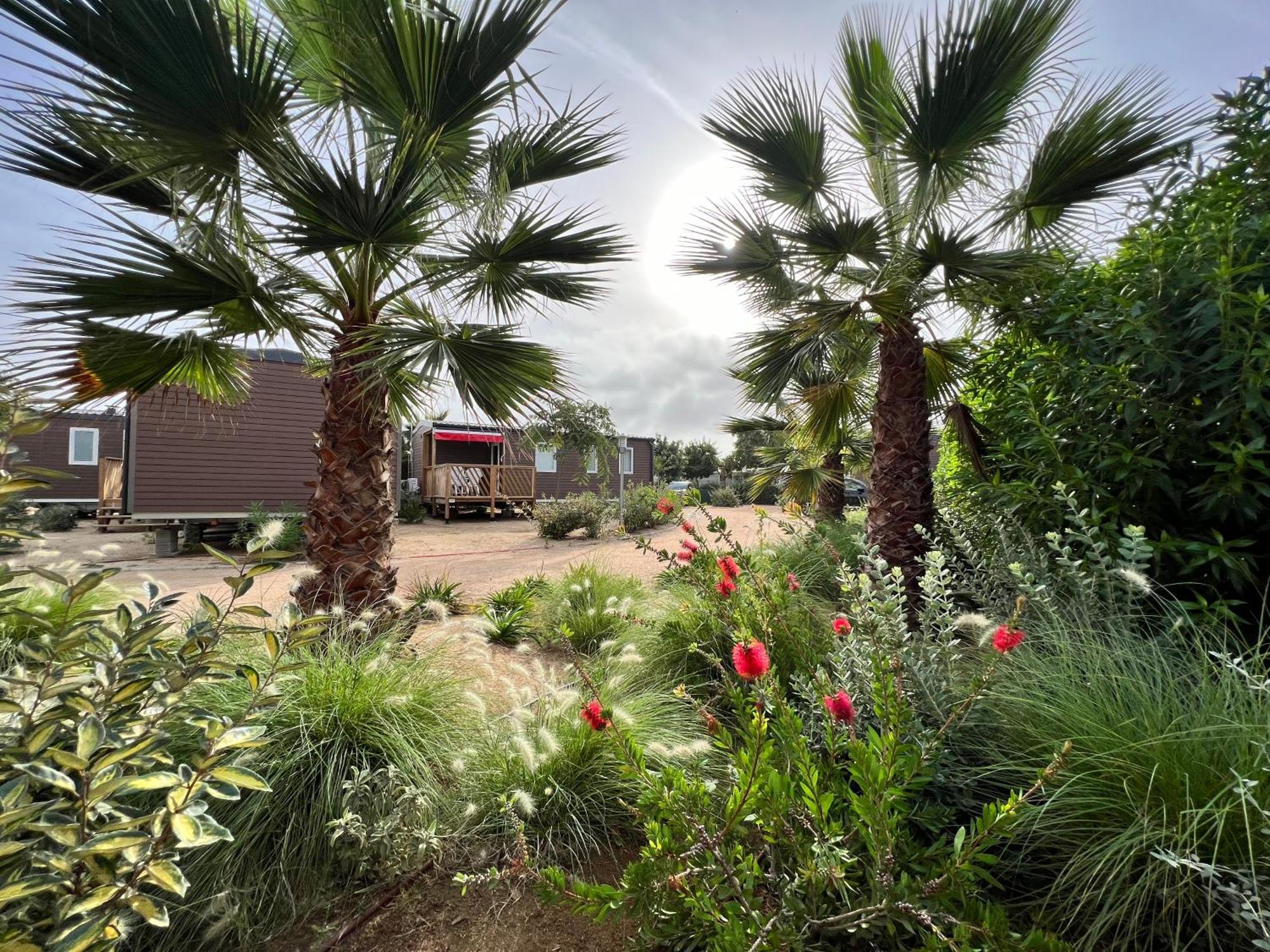 Camping Resort Els Pins مارغرَت دي مار المظهر الخارجي الصورة