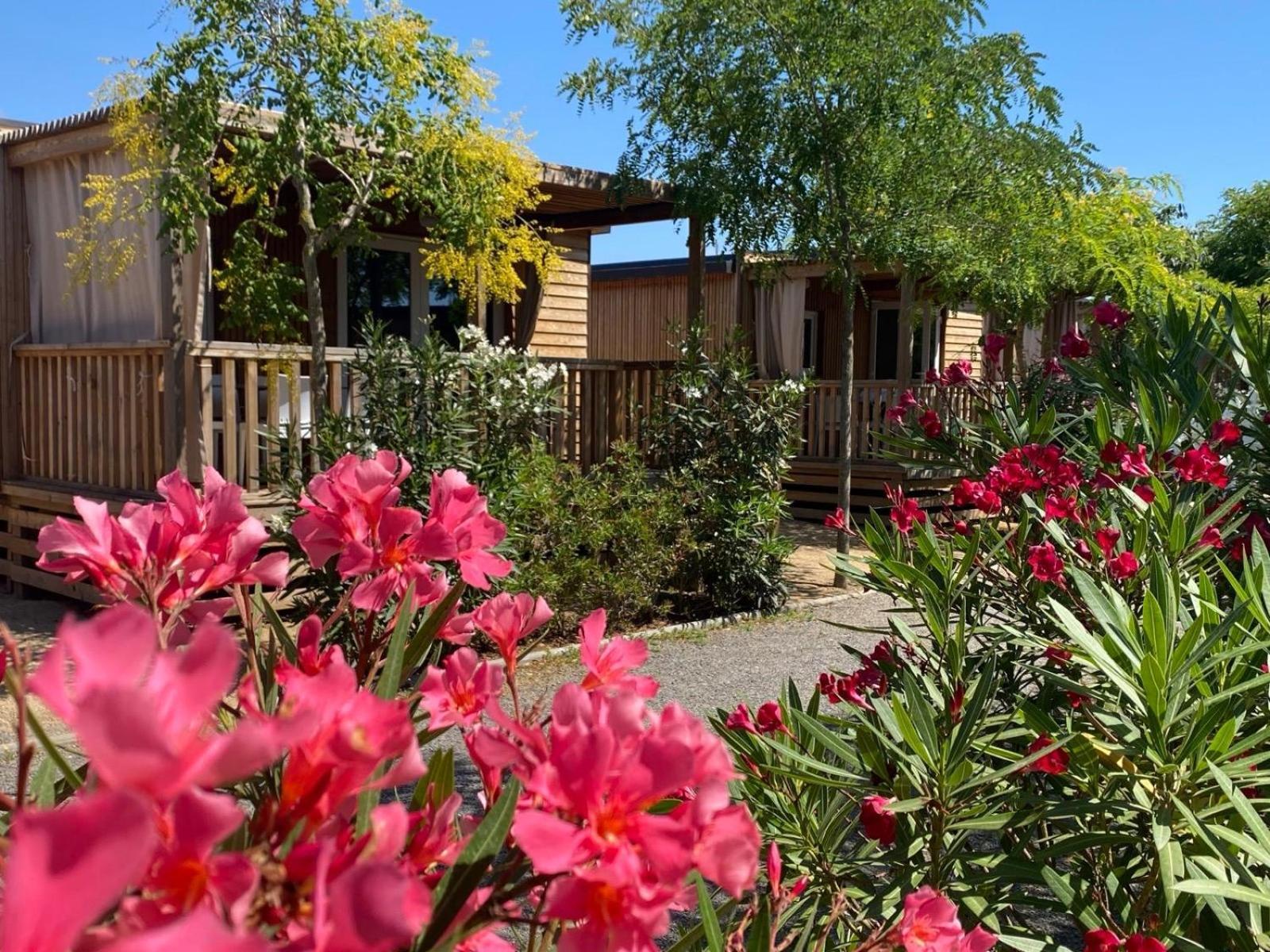 Camping Resort Els Pins مارغرَت دي مار المظهر الخارجي الصورة